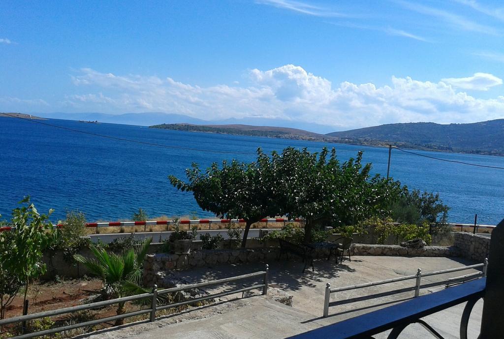 Niriides Daire Galaxídhion Oda fotoğraf