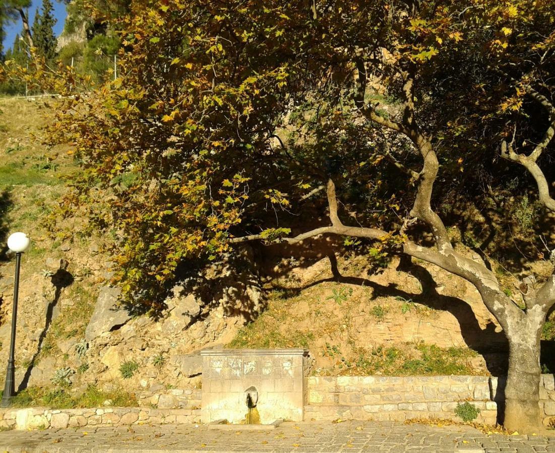 Niriides Daire Galaxídhion Dış mekan fotoğraf